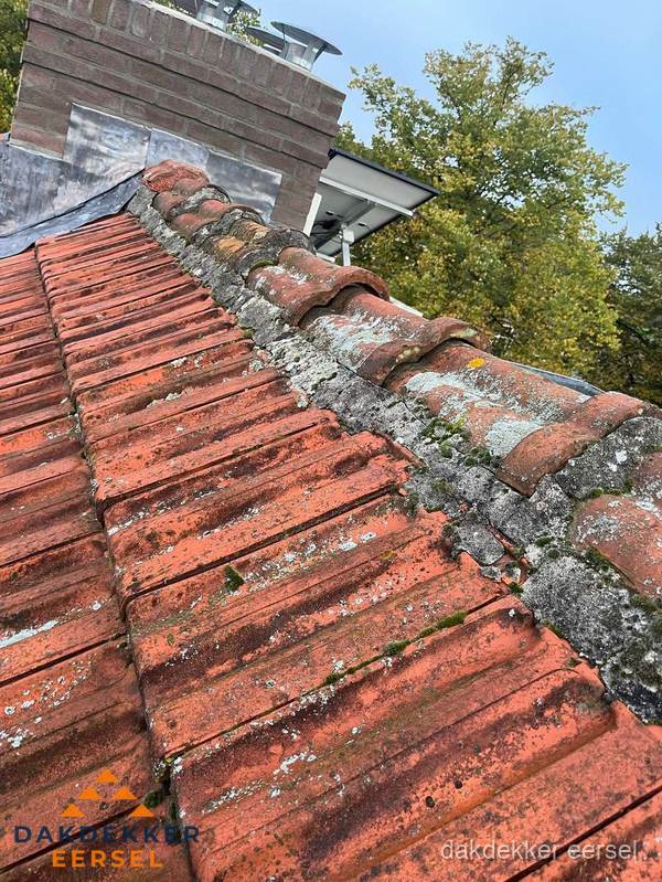 Verweerd hellend dak met mosgroei op nokvorst in Eersel