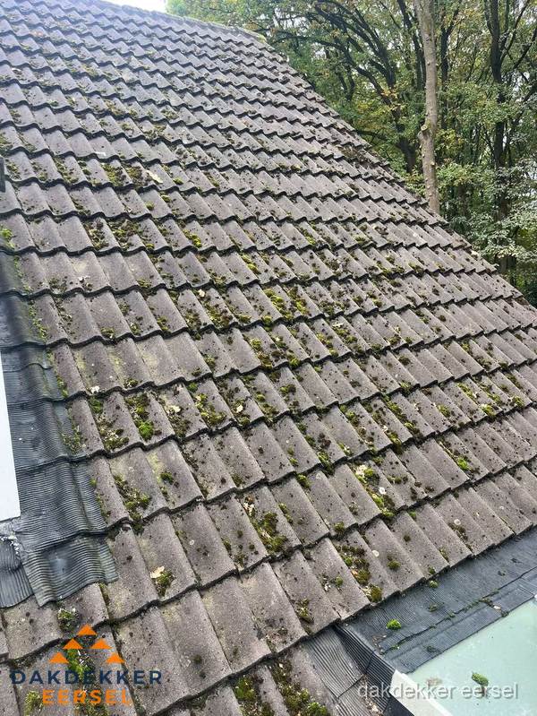 Verweerd pannendak met mosgroei dat renovatie nodig heeft in Eersel