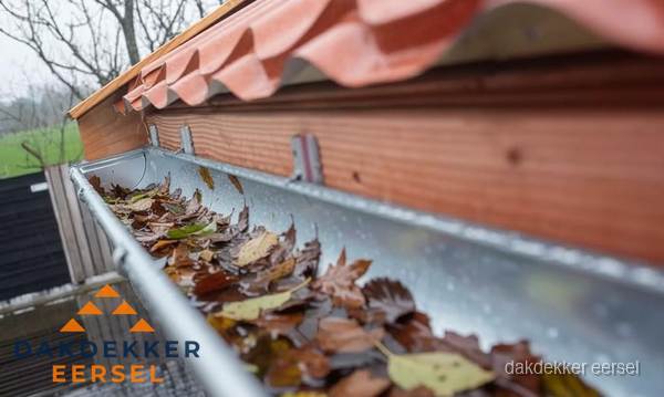 Dakgoot vol bladeren die gereinigd moet worden in Eersel