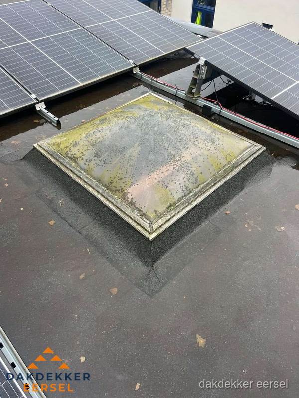 Vervuilde lichtkoepel op plat dak met zonnepanelen in Eersel